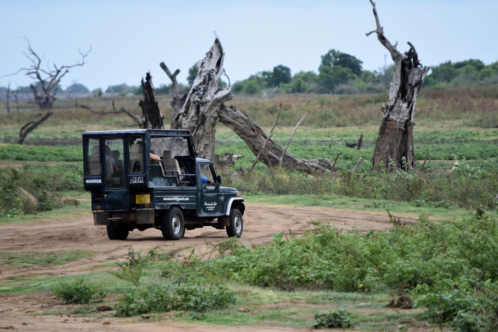 An open safari jeep on a game drive in Udawalawe National Park