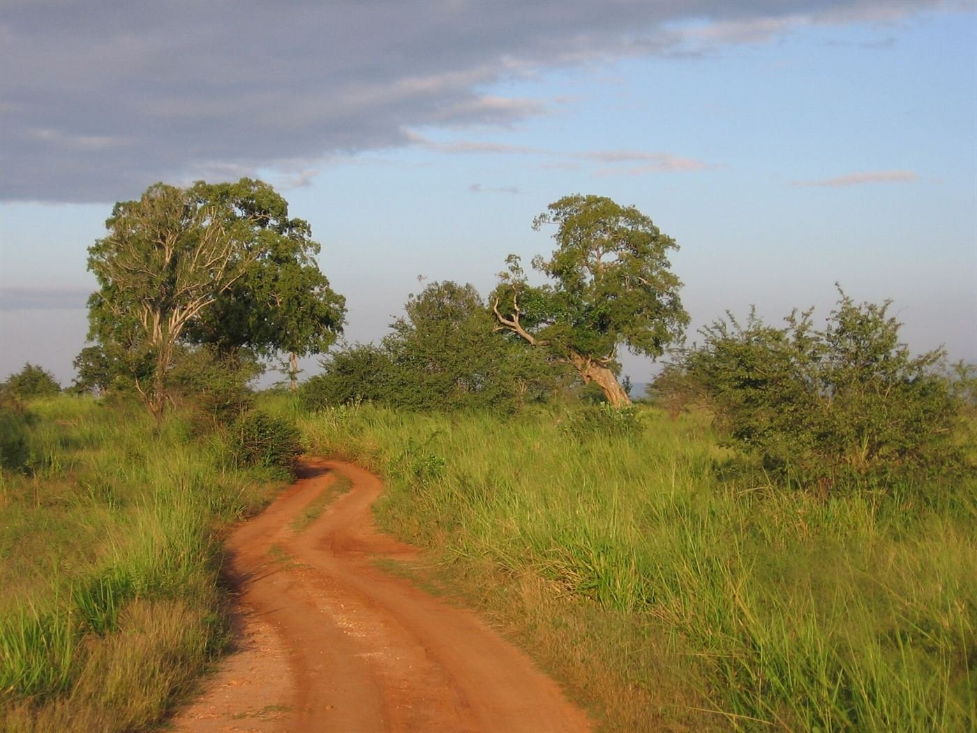 A red dirt safari track through Udawalawe grassland